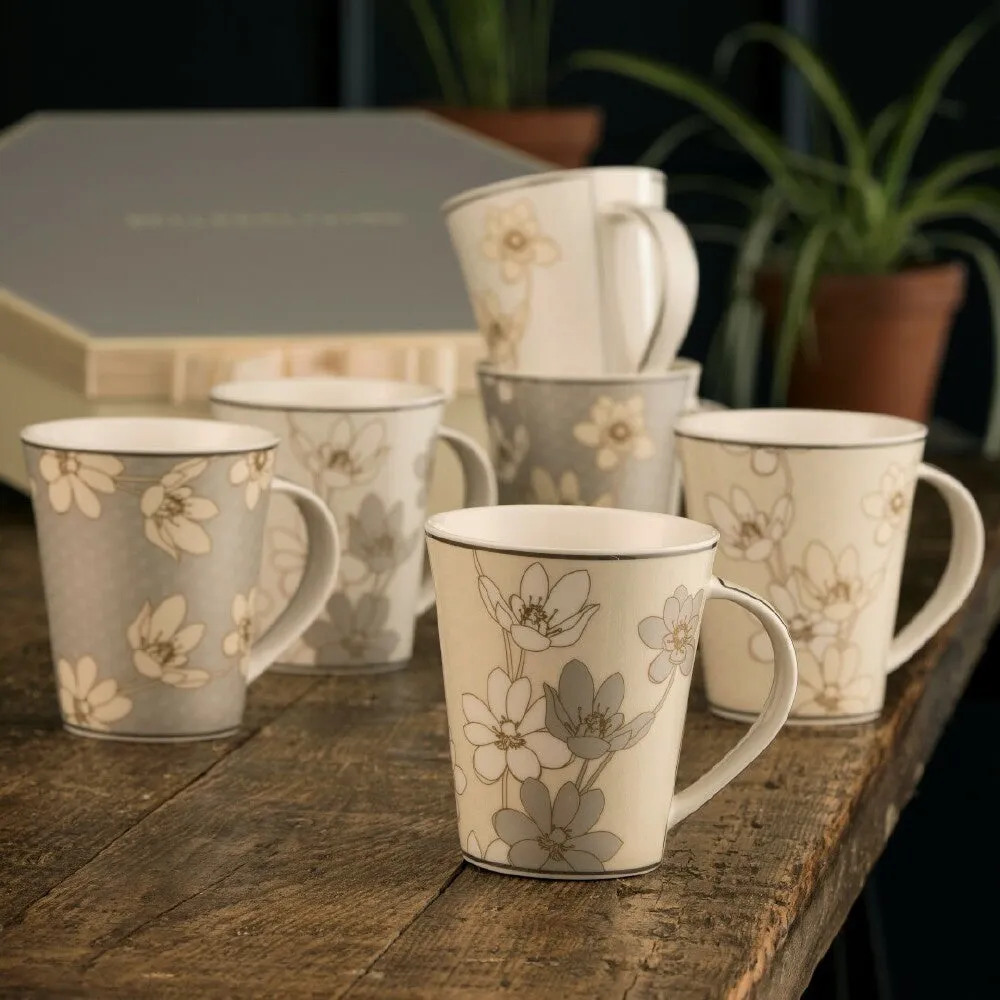 BELLEEK LIVING BAY FLOWERS 6 MUGS HEXAGON BOX