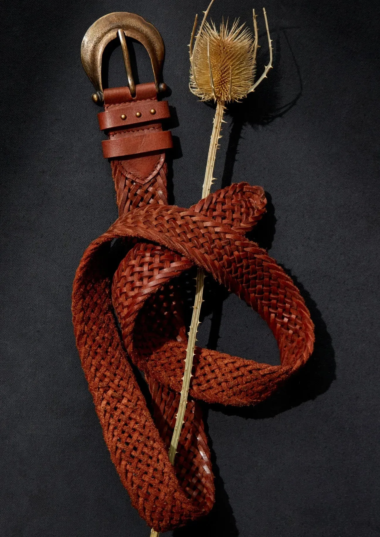 WTF Brix Belt